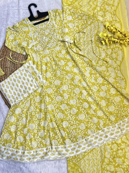 Anarkali Sets AS346