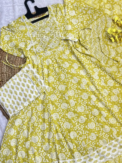 Anarkali Sets AS346