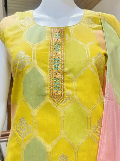 Kurti Pant Sets KPS699